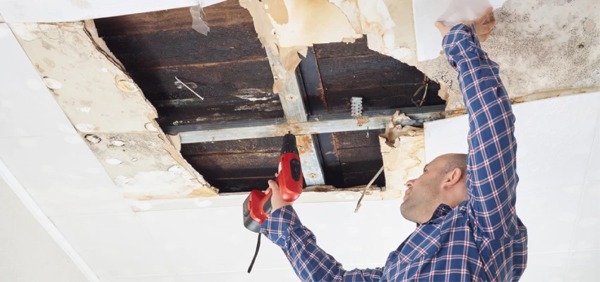 Imagen de Water Damage Mitigation